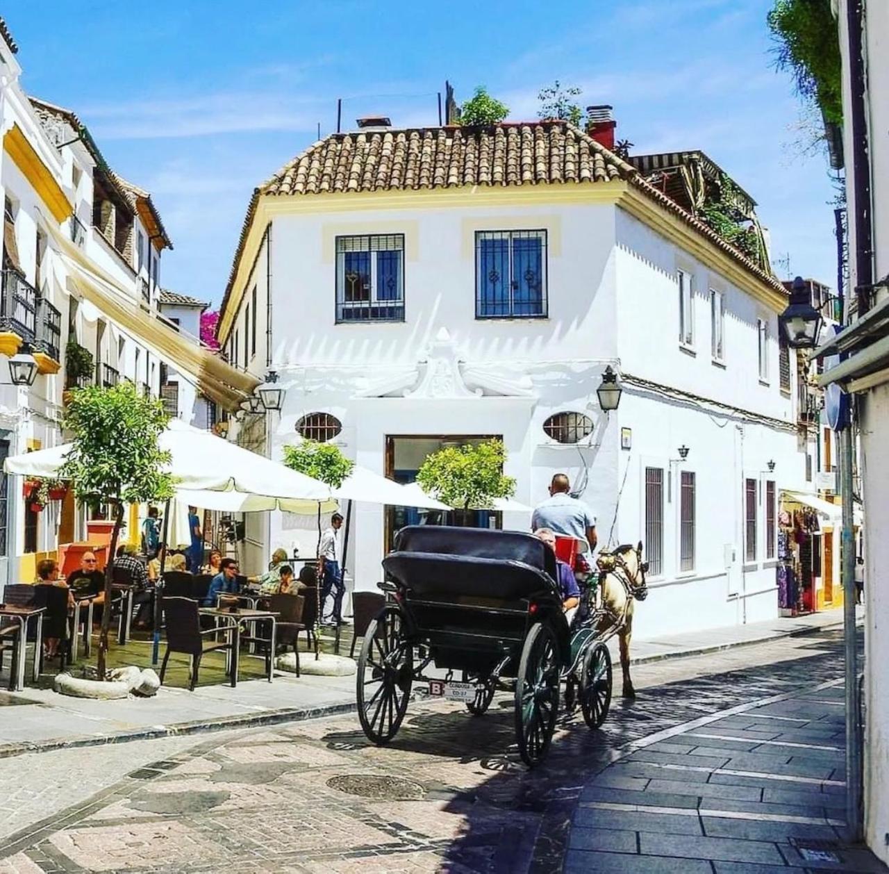 Apartamento El Cardenal Córdoba Buitenkant foto